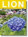 2013年6月号