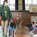 “つなぐ思いやりの心で” 盲導犬出前授業を実施