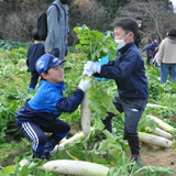 ラグビー少年らと野菜の収穫を楽しむ