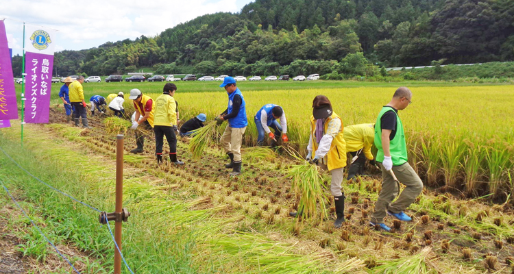 6クラブで稲刈り実施 福祉施設などに寄贈