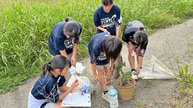 清掃ウォーキング大会で楽しく川辺をきれいに