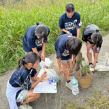 清掃ウォーキング大会で楽しく川辺をきれいに