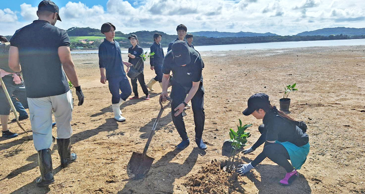 石垣島・名蔵湾におけるマングローブ植林