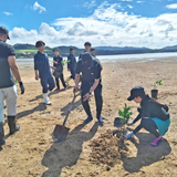石垣島・名蔵湾におけるマングローブ植林