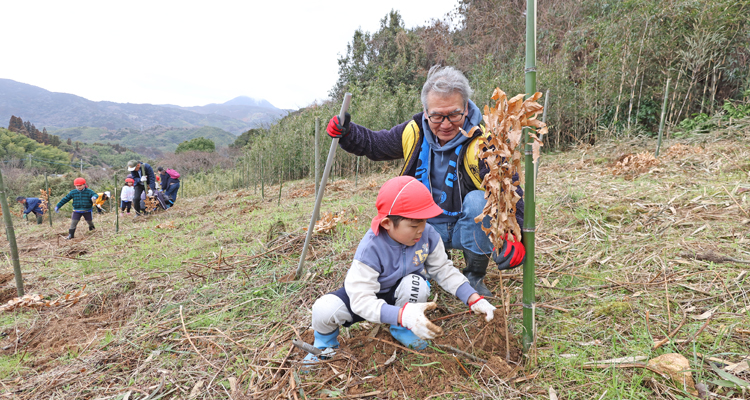 豊かな山や海を守るためクヌギの植樹を続けて17年