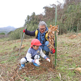 豊かな山や海を守るためクヌギの植樹を続けて17年