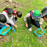 草花を探し味わう 野外子ども食堂